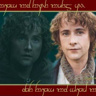 Pippin Took wallpaper