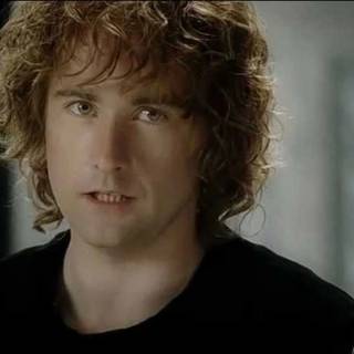 Pippin Took wallpaper