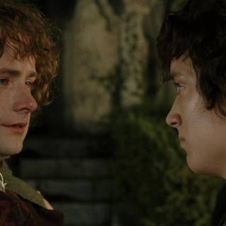 Pippin Took wallpaper