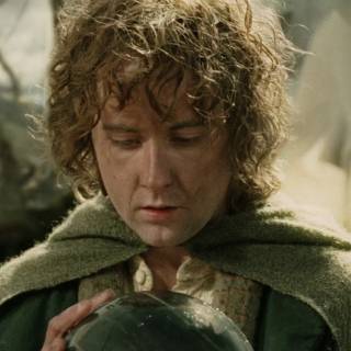 Pippin Took wallpaper