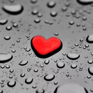 Mom dad HD 4k phone wallpaper