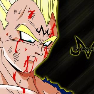 Majin Vegeta computer wallpaper