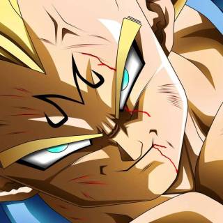 Majin Vegeta computer wallpaper