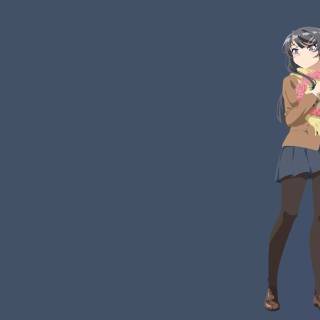 Mai Sakurajima computer wallpaper