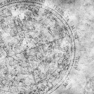 Black and white desktop Bleach wallpaper