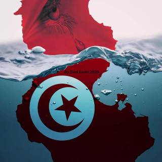 Tunis wallpaper