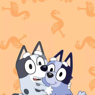 Muffin Heeler wallpaper