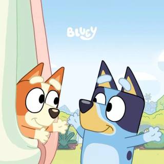 Bluey aesthetic wallpaper