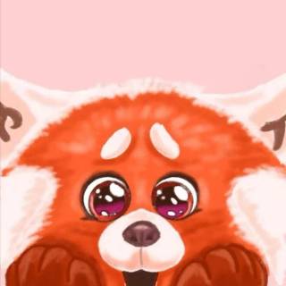 Red panda cartoon wallpaper