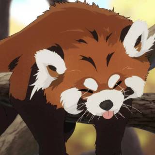Red panda cartoon wallpaper