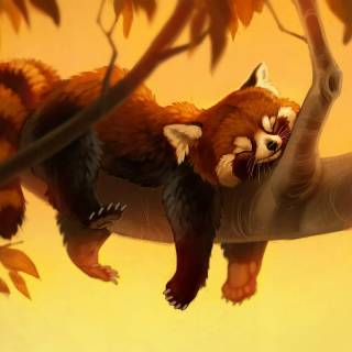 Red panda cartoon wallpaper