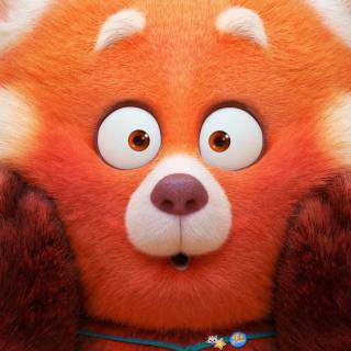 Red panda cartoon wallpaper