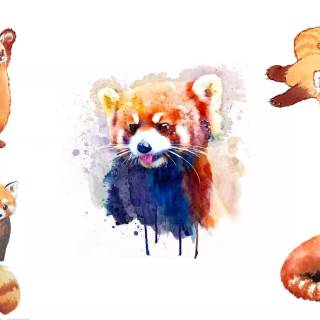 Red panda cartoon wallpaper