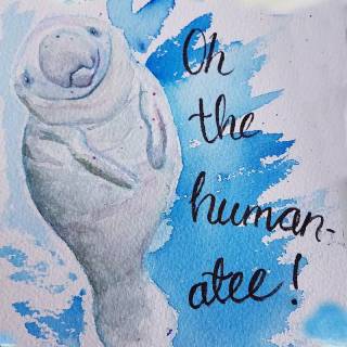 Drawing manatee wallpaper