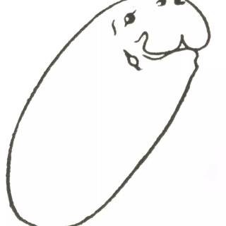 Drawing manatee wallpaper