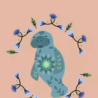 Drawing manatee wallpaper