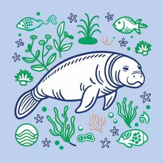 Drawing manatee wallpaper
