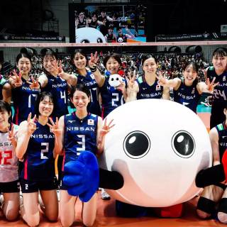 Japan volleyball team wallpaper
