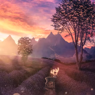 Anime field art 4k wallpaper