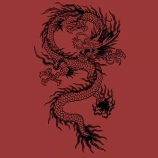 Japanese dragon wallpaper