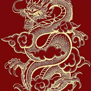 Japanese dragon wallpaper