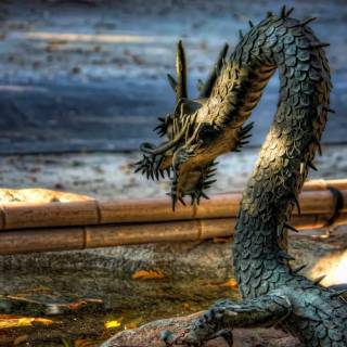 Japanese dragon wallpaper