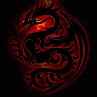 Japanese dragon wallpaper