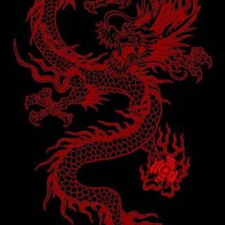Japanese dragon wallpaper