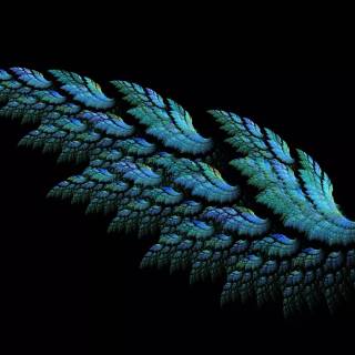 Peacock wing wallpaper