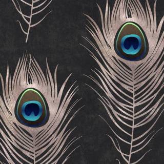 Peacock wing wallpaper