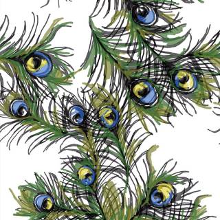 Peacock wing wallpaper