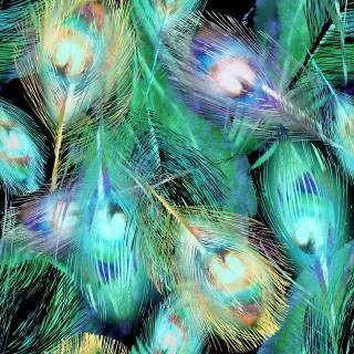 Peacock wing wallpaper
