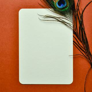 Peacock wing wallpaper