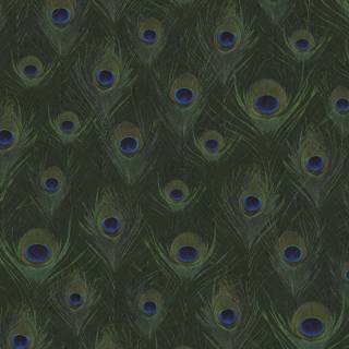Peacock wing wallpaper
