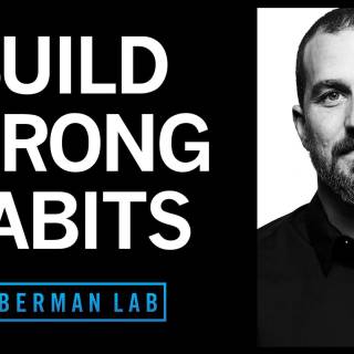 Andrew Huberman wallpaper