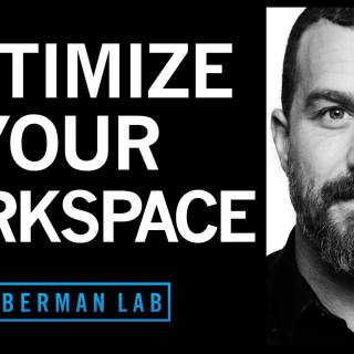 Andrew Huberman wallpaper