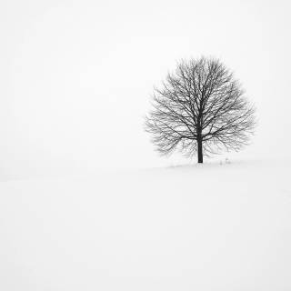 Minimalist winter 4k wallpaper