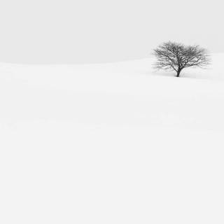 Winter minimalist black and white wallpaper
