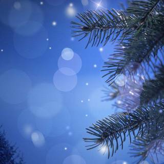 Winter nights 1920x1080 wallpaper