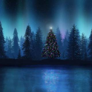 Winter nights 1920x1080 wallpaper