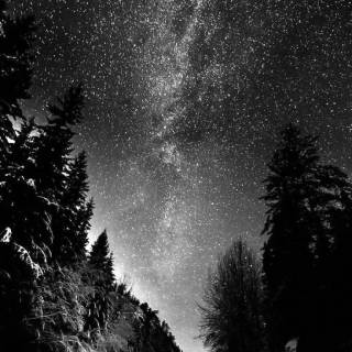 Aesthetic black winter wallpaper