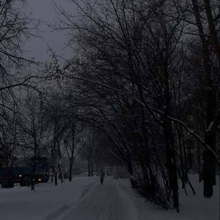 Aesthetic black winter wallpaper