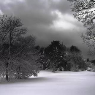 Aesthetic black winter wallpaper