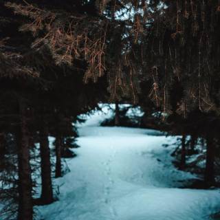 Aesthetic black winter wallpaper