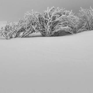 Aesthetic black winter wallpaper