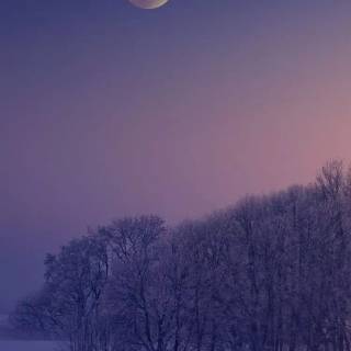 Aesthetic black winter wallpaper