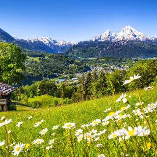 Spring meadow laptop wallpaper