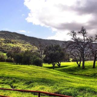 Spring meadow laptop wallpaper
