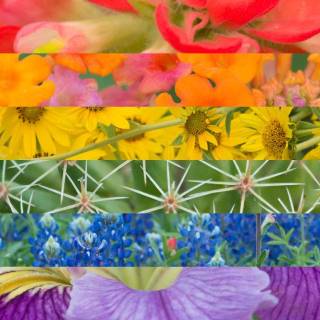 Spring collage horizontal wallpaper