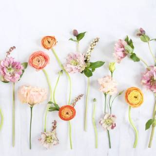 Cute spring PC wallpaper